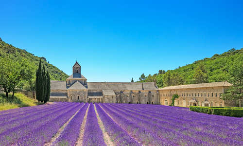 Abbey of Senanque, Vaucluse, Provence, France