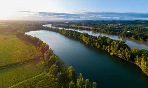 Aerial view of Bordeaux vineyard in France on the River Garonne