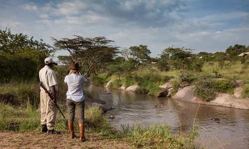 Grumeti River bush walk, Elewana Serengeti Migration Camp