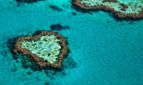 Heart Shaped Reef, Great Barrier Reef