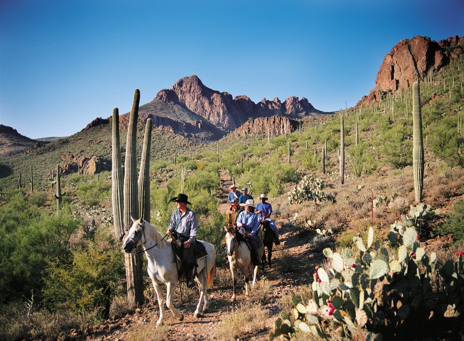Horseback ride in the Sonoran Desert near Tucson