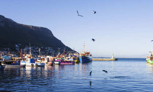 Kalk Bay, Cape Town