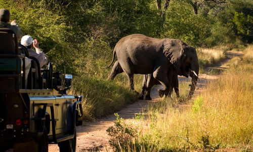 Narina Lodge, Kruger National Park
