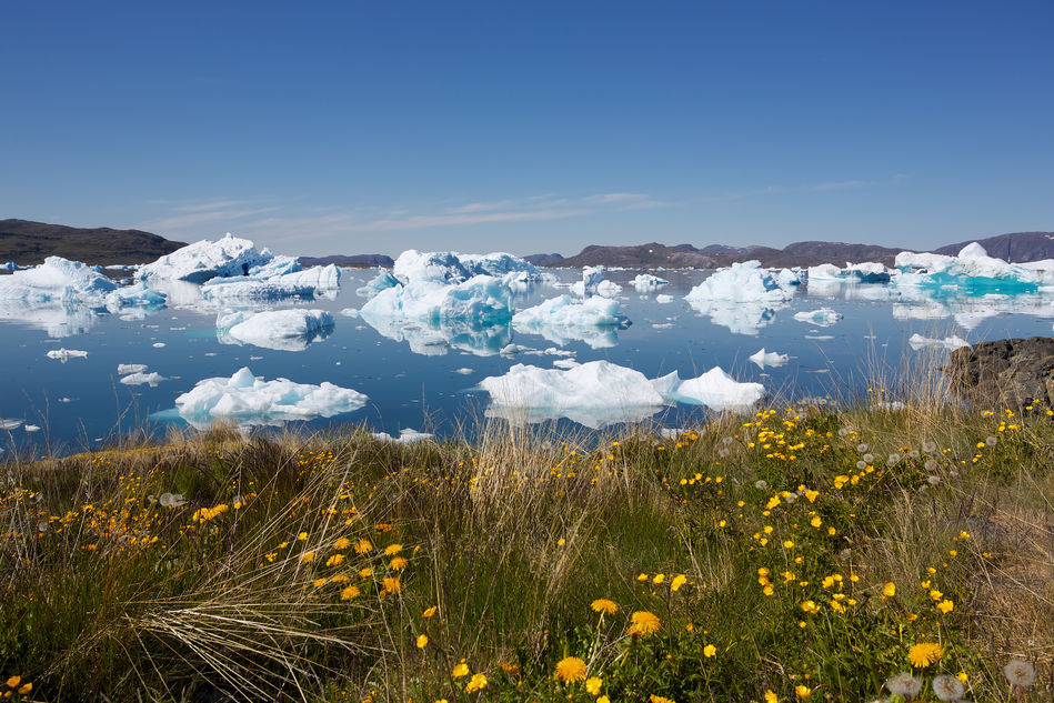 Icebergs in Narsaq, southern Greenland