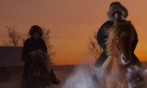 Northern Lights on horseback excursion, ICEHOTEL (Credit: Ofelas)