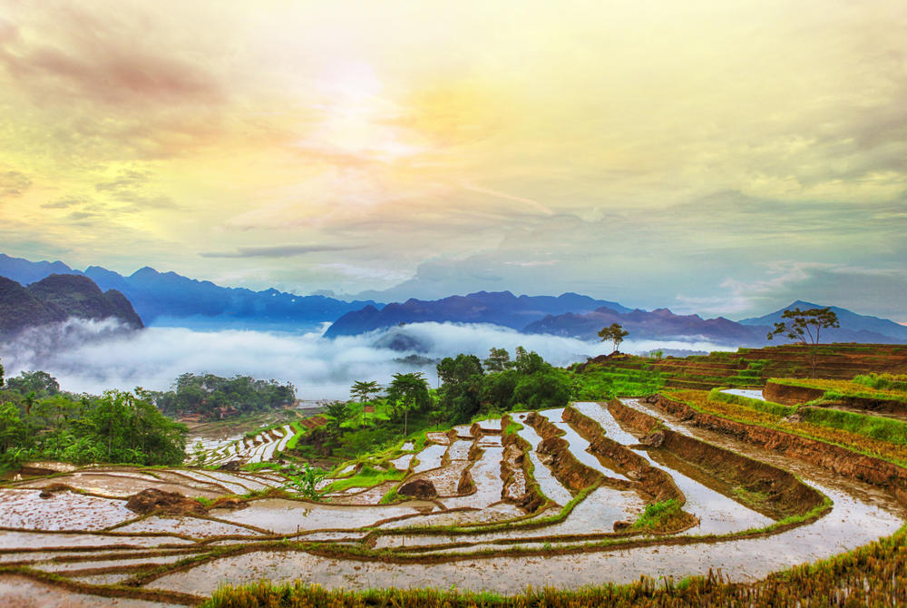 Rice terraces in Pu Luong Vietnam