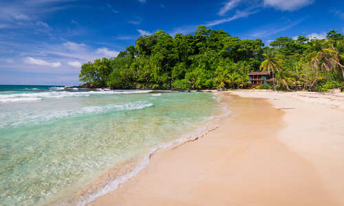 golden sands and blue clear waters of Panama's caribbean coast and Bastimentos marine national park