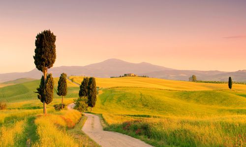 Rural Tuscany