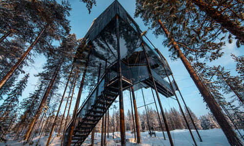 The 7th Room, Treehotel
