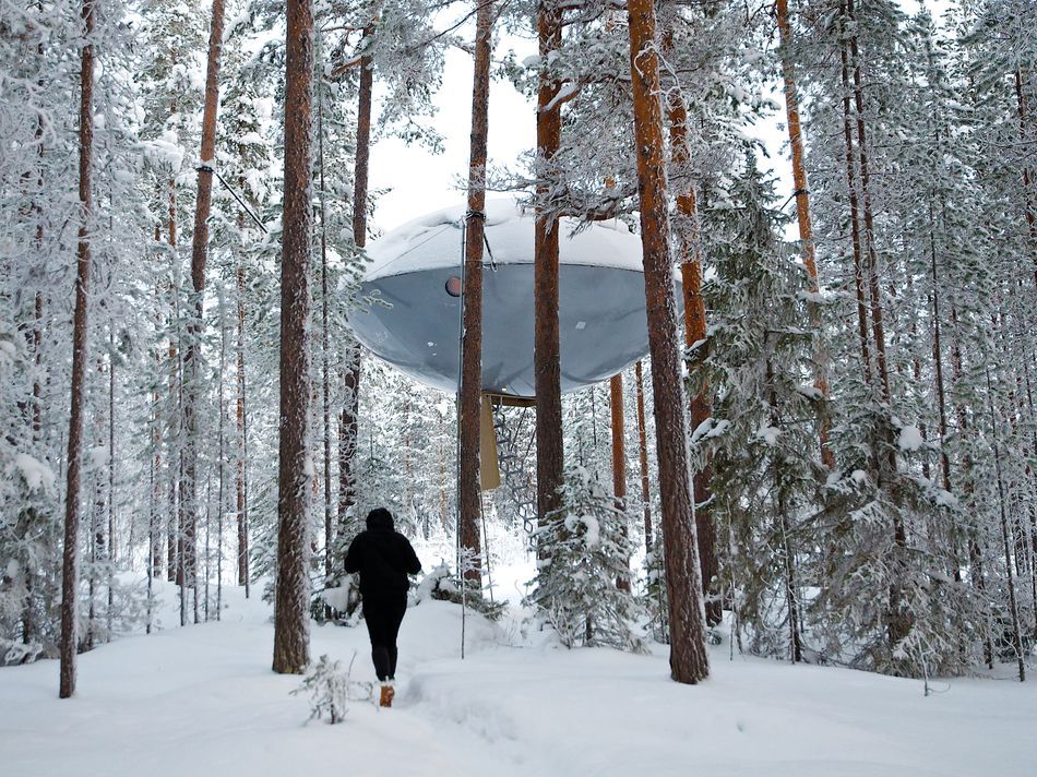 UFO Treehotel Harads Swedish Lapland